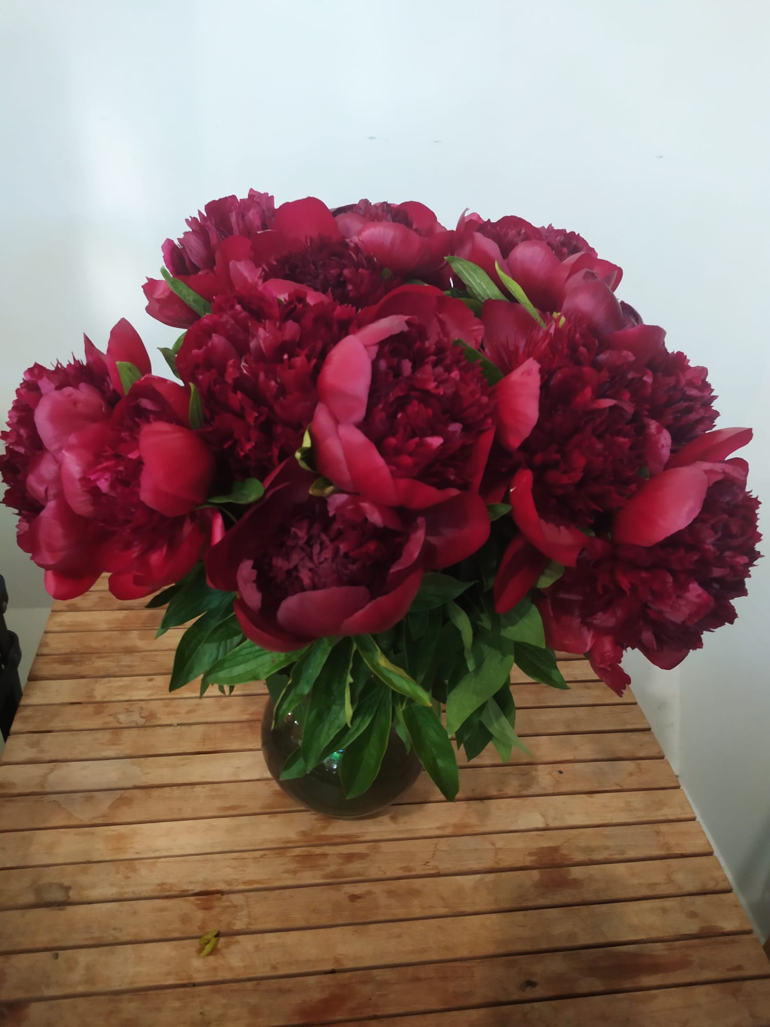 Bouquet Velours Écarlate - pivoines rouges somptueuses, présentées avec raffinement